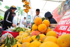 Mời tham gia  Tuần hàng trái cây, nông sản  các tỉnh, thành phố tại Hà Nội  năm 2020.